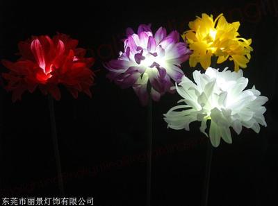 綻放城市夜景 新款創意菊花燈的多維魅力